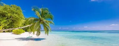 Bahamas | Caribbean - Ocean Yacht Charter