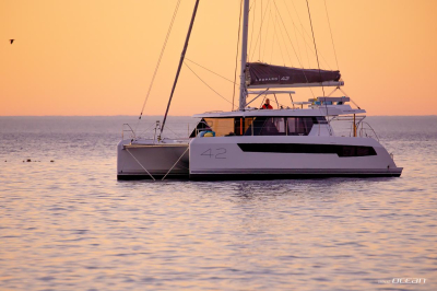 Leopard 42  | Robertson & Caine